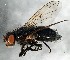  ( - 08TTML-1715)  @14 [ ] CreativeCommons - Attribution (2010) CBG Photography Group Centre for Biodiversity Genomics
