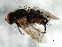  ( - 08TTML-1725)  @14 [ ] CreativeCommons - Attribution (2010) CBG Photography Group Centre for Biodiversity Genomics