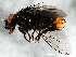  ( - 08TTML-1775)  @13 [ ] CreativeCommons - Attribution (2010) CBG Photography Group Centre for Biodiversity Genomics