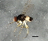  ( - 08TTML-1782)  @13 [ ] CreativeCommons - Attribution (2010) CBG Photography Group Centre for Biodiversity Genomics