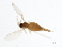 ( - 08TTML-1483)  @12 [ ] CreativeCommons - Attribution (2010) CBG Photography Group Centre for Biodiversity Genomics