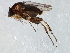  ( - 08TTML-0838)  @14 [ ] CreativeCommons - Attribution (2010) CBG Photography Group Centre for Biodiversity Genomics