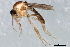  ( - 08TTML-0850)  @13 [ ] CreativeCommons - Attribution (2010) CBG Photography Group Centre for Biodiversity Genomics