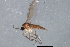  ( - 08TTML-1147)  @12 [ ] CreativeCommons - Attribution (2010) CBG Photography Group Centre for Biodiversity Genomics
