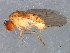  ( - 08TTML-1186)  @14 [ ] CreativeCommons - Attribution (2010) CBG Photography Group Centre for Biodiversity Genomics