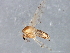  ( - 08TTML-1190)  @13 [ ] CreativeCommons - Attribution (2010) CBG Photography Group Centre for Biodiversity Genomics