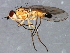  ( - 08TTML-1215)  @13 [ ] CreativeCommons - Attribution (2010) CBG Photography Group Centre for Biodiversity Genomics