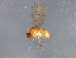  ( - 08TTML-1225)  @14 [ ] CreativeCommons - Attribution (2010) CBG Photography Group Centre for Biodiversity Genomics