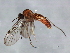  ( - 08TTML-1052)  @12 [ ] CreativeCommons - Attribution (2010) CBG Photography Group Centre for Biodiversity Genomics