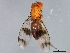  ( - 08TTML-1066)  @13 [ ] CreativeCommons - Attribution (2010) CBG Photography Group Centre for Biodiversity Genomics