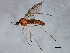  ( - 08TTML-1134)  @14 [ ] CreativeCommons - Attribution (2010) CBG Photography Group Centre for Biodiversity Genomics