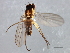  ( - 08TTML-1013)  @13 [ ] CreativeCommons - Attribution (2010) CBG Photography Group Centre for Biodiversity Genomics