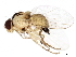  ( - 08TTML-1037)  @13 [ ] CreativeCommons - Attribution (2010) CBG Photography Group Centre for Biodiversity Genomics