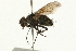  ( - 08TTML-0713)  @13 [ ] CreativeCommons - Attribution (2009) Unspecified Centre for Biodiversity Genomics