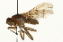  ( - 08TTML-0727)  @14 [ ] CreativeCommons - Attribution (2009) Unspecified Centre for Biodiversity Genomics
