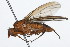  ( - 08TTML-0590)  @13 [ ] CreativeCommons - Attribution (2009) Unspecified Centre for Biodiversity Genomics