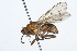  ( - 08TTML-0591)  @14 [ ] CreativeCommons - Attribution (2009) Unspecified Centre for Biodiversity Genomics