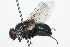  ( - 08TTML-0600)  @13 [ ] CreativeCommons - Attribution (2009) Unspecified Centre for Biodiversity Genomics