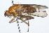  ( - 08TTML-0603)  @14 [ ] CreativeCommons - Attribution (2009) Unspecified Centre for Biodiversity Genomics