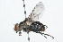  ( - 08TTML-0605)  @13 [ ] CreativeCommons - Attribution (2009) Unspecified Centre for Biodiversity Genomics