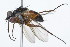  ( - 08TTML-0631)  @12 [ ] CreativeCommons - Attribution (2009) Unspecified Centre for Biodiversity Genomics