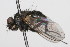  ( - 08TTML-0646)  @12 [ ] CreativeCommons - Attribution (2009) Unspecified Centre for Biodiversity Genomics
