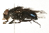  ( - 08TTML-0559)  @14 [ ] CreativeCommons - Attribution (2009) Unspecified Centre for Biodiversity Genomics