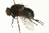  ( - 08TTML-0580)  @12 [ ] CreativeCommons - Attribution (2009) Unspecified Centre for Biodiversity Genomics