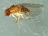  ( - 08TTML-1272)  @13 [ ] CreativeCommons - Attribution (2010) CBG Photography Group Centre for Biodiversity Genomics