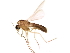  ( - 08TTML-1819)  @13 [ ] CreativeCommons - Attribution (2010) CBG Photography Group Centre for Biodiversity Genomics