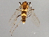  ( - 08TTML-1837)  @13 [ ] CreativeCommons - Attribution (2010) CBG Photography Group Centre for Biodiversity Genomics