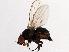  ( - 08TTML-1853)  @13 [ ] CreativeCommons - Attribution (2010) CBG Photography Group Centre for Biodiversity Genomics