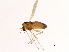  ( - 08TTML-1867)  @13 [ ] CreativeCommons - Attribution (2010) CBG Photography Group Centre for Biodiversity Genomics