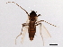  ( - 08TTML-1887)  @13 [ ] CreativeCommons - Attribution (2010) CBG Photography Group Centre for Biodiversity Genomics