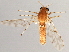  ( - 08TTML-1894)  @13 [ ] CreativeCommons - Attribution (2010) CBG Photography Group Centre for Biodiversity Genomics