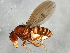  ( - 08TTML-1962)  @13 [ ] CreativeCommons - Attribution (2010) CBG Photography Group Centre for Biodiversity Genomics