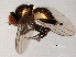  ( - 08TTML-2010)  @12 [ ] CreativeCommons - Attribution (2010) CBG Photography Group Centre for Biodiversity Genomics