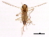  ( - 08TTML-2022)  @13 [ ] CreativeCommons - Attribution (2010) CBG Photography Group Centre for Biodiversity Genomics
