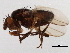  ( - 08TTML-2058)  @13 [ ] CreativeCommons - Attribution (2010) CBG Photography Group Centre for Biodiversity Genomics