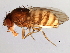  ( - 08TTML-2102)  @13 [ ] CreativeCommons - Attribution (2010) CBG Photography Group Centre for Biodiversity Genomics
