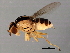  ( - 08TTML-2105)  @13 [ ] CreativeCommons - Attribution (2010) CBG Photography Group Centre for Biodiversity Genomics