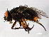 ( - 08TTML-2116)  @13 [ ] CreativeCommons - Attribution (2010) CBG Photography Group Centre for Biodiversity Genomics
