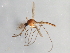  ( - 08TTML-2126)  @14 [ ] CreativeCommons - Attribution (2010) CBG Photography Group Centre for Biodiversity Genomics