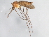  ( - 08TTML-2134)  @14 [ ] CreativeCommons - Attribution (2010) CBG Photography Group Centre for Biodiversity Genomics