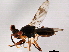  ( - 08TTML-2175)  @11 [ ] CreativeCommons - Attribution (2010) CBG Photography Group Centre for Biodiversity Genomics