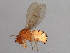 ( - 08TTML-2193)  @11 [ ] CreativeCommons - Attribution (2010) CBG Photography Group Centre for Biodiversity Genomics