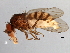  ( - 08TTML-2199)  @14 [ ] CreativeCommons - Attribution (2010) CBG Photography Group Centre for Biodiversity Genomics
