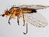  ( - 08TTML-2209)  @13 [ ] CreativeCommons - Attribution (2010) CBG Photography Group Centre for Biodiversity Genomics