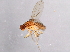 ( - 08TTML-2218)  @13 [ ] CreativeCommons - Attribution (2010) CBG Photography Group Centre for Biodiversity Genomics