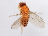  ( - 08TTML-2234)  @13 [ ] CreativeCommons - Attribution (2010) CBG Photography Group Centre for Biodiversity Genomics
